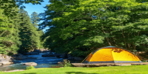 yhde-hengen-teltta-puron-vieresss